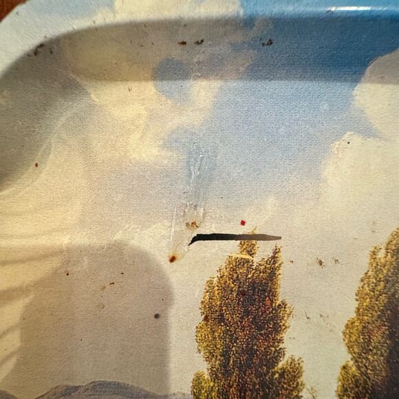 VTG Christmas 5 Metal Serving Trays Plates Round Rectangle Cookies Santa Holiday - Picture 13 of 13